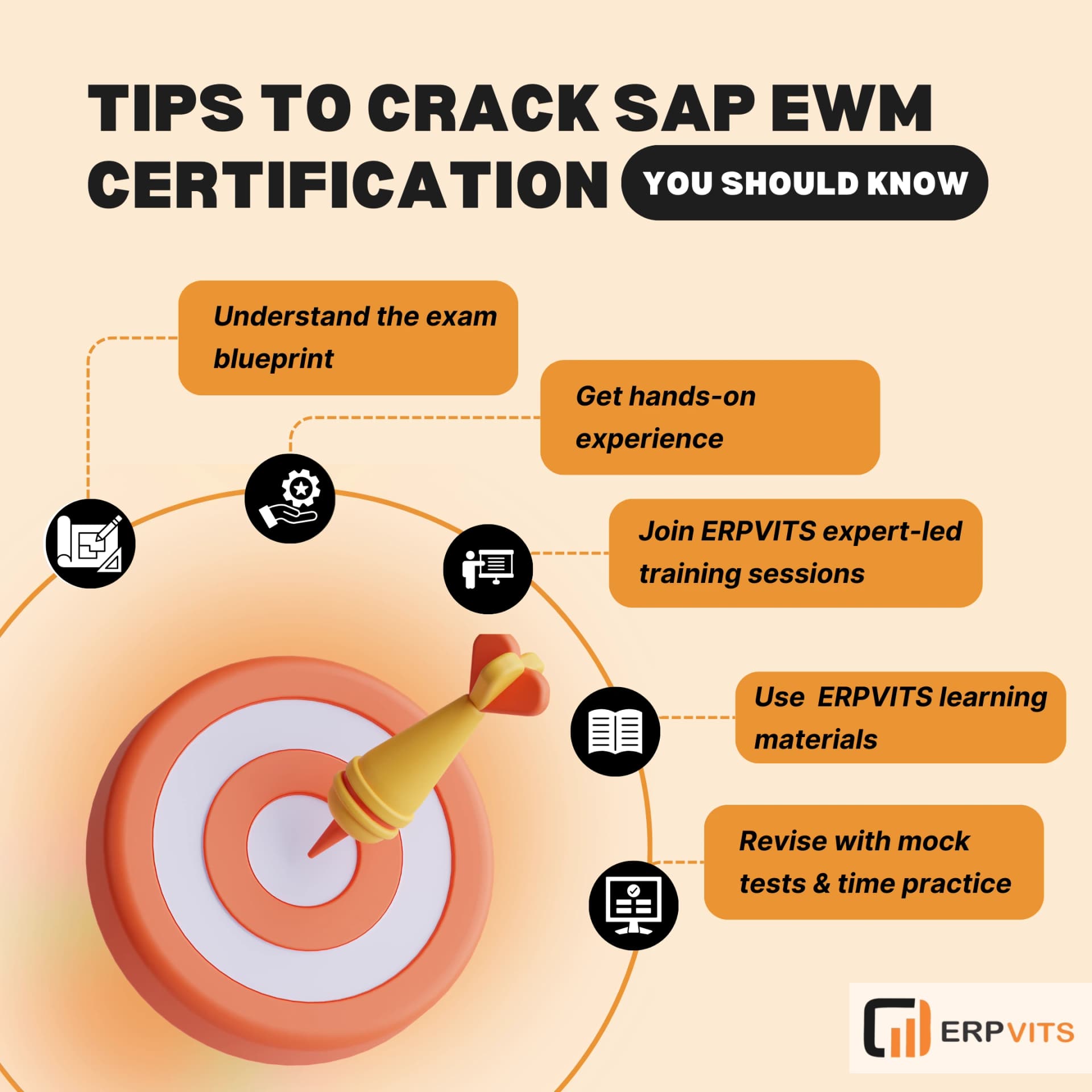 SAP Certification Professional