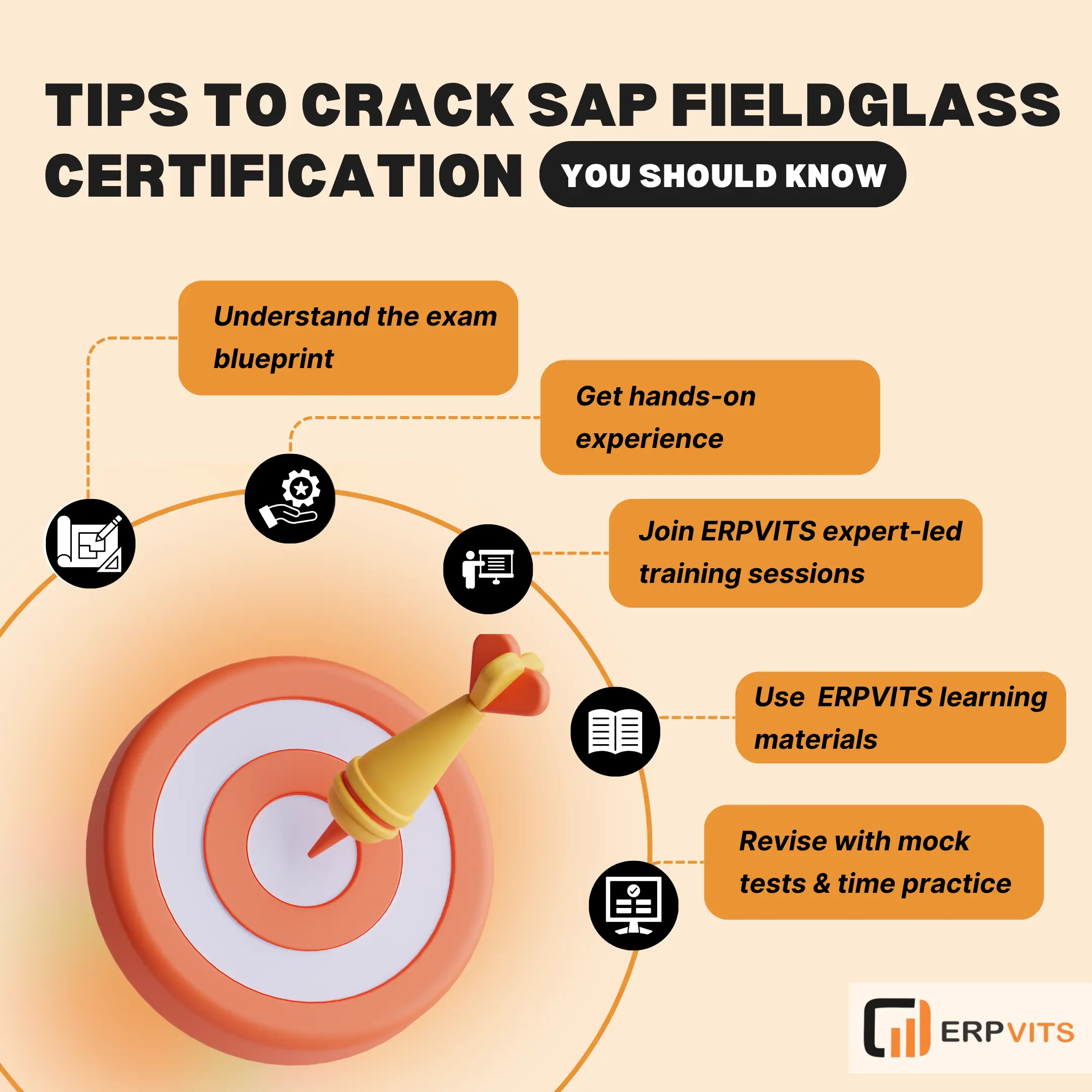 SAP Certification Professional